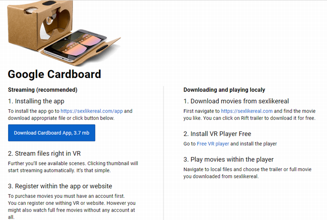 Sex Like Real�@�V�[���[�����C��VR